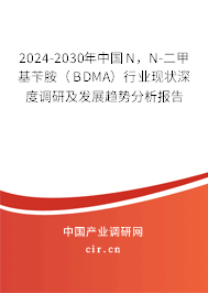 2024-2030年中國N，N-二甲基芐胺（BDMA）行業(yè)現(xiàn)狀深度調(diào)研及發(fā)展趨勢分析報告