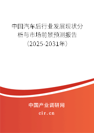 中國(guó)汽車后行業(yè)發(fā)展現(xiàn)狀分析與市場(chǎng)前景預(yù)測(cè)報(bào)告（2025-2031年）