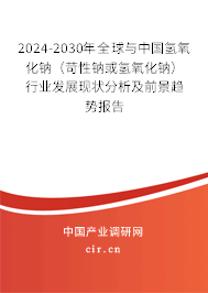 2024-2030年全球與中國(guó)氫氧化鈉（苛性鈉或氫氧化鈉）行業(yè)發(fā)展現(xiàn)狀分析及前景趨勢(shì)報(bào)告
