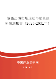 陜西乙烯市場現(xiàn)狀與前景趨勢預(yù)測報告（2025-2031年）