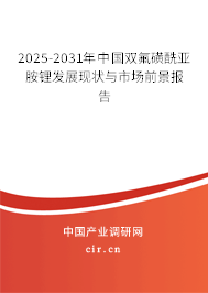 2025-2031年中國雙氟磺酰亞胺鋰發(fā)展現(xiàn)狀與市場前景報告