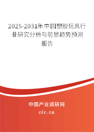 2025-2031年中國塑膠玩具行業(yè)研究分析與前景趨勢預(yù)測報告