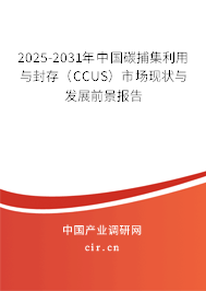 2025-2031年中國(guó)碳捕集利用與封存（CCUS）市場(chǎng)現(xiàn)狀與發(fā)展前景報(bào)告