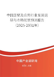 中國(guó)衛(wèi)星及應(yīng)用行業(yè)發(fā)展調(diào)研與市場(chǎng)前景預(yù)測(cè)報(bào)告（2025-2031年）