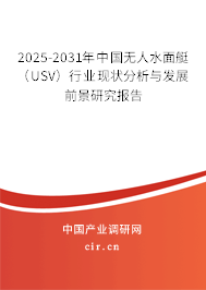 2025-2031年中國(guó)無(wú)人水面艇（USV）行業(yè)現(xiàn)狀分析與發(fā)展前景研究報(bào)告