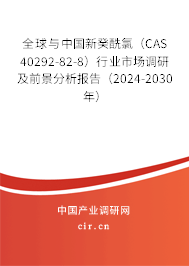 全球與中國(guó)新癸酰氯（CAS 40292-82-8）行業(yè)市場(chǎng)調(diào)研及前景分析報(bào)告（2024-2030年）