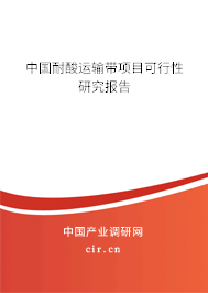 中國(guó)耐酸運(yùn)輸帶項(xiàng)目可行性研究報(bào)告