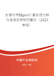 全球與中國(guó)pes行業(yè)現(xiàn)狀分析與發(fā)展前景研究報(bào)告（2024年版）