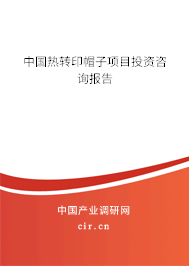 中國(guó)熱轉(zhuǎn)印帽子項(xiàng)目投資咨詢報(bào)告
