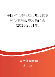 中國(guó)筆記本電腦市場(chǎng)現(xiàn)狀調(diào)研與發(fā)展前景分析報(bào)告（2025-2031年）