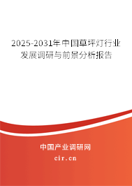 2025-2031年中國草坪燈行業(yè)發(fā)展調(diào)研與前景分析報告