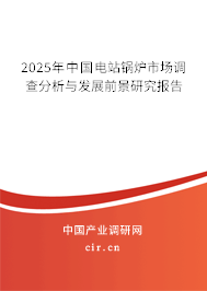 2025年中國電站鍋爐市場調查分析與發(fā)展前景研究報告