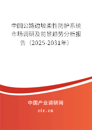 中國公路邊坡柔性防護(hù)系統(tǒng)市場調(diào)研及前景趨勢(shì)分析報(bào)告（2025-2031年）