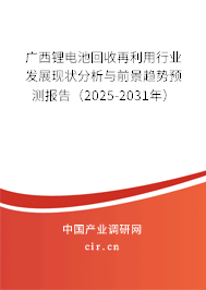 廣西鋰電池回收再利用行業(yè)發(fā)展現(xiàn)狀分析與前景趨勢預(yù)測報告（2025-2031年）
