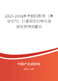 2025-2031年中國(guó)活性炭（凈化空氣）行業(yè)研究分析與發(fā)展前景預(yù)測(cè)報(bào)告