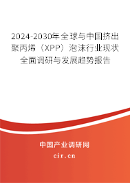2024-2030年全球與中國擠出聚丙烯(XPP)泡沫行業(yè)現狀全面調研與發(fā)展趨勢報告 2024-2030年全球與中國擠出聚丙烯(XPP)泡沫行業(yè)現狀全面調研與發(fā)展趨勢報告