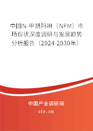 中國N-甲酰嗎啉（NFM）市場現(xiàn)狀深度調研與發(fā)展趨勢分析報告（2024-2030年）