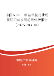 中國N,N-二甲基苯胺行業(yè)現(xiàn)狀研究與發(fā)展前景分析報告（2025-2031年）