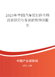2025年中國汽車密封件市場調(diào)查研究與發(fā)展趨勢預測報告
