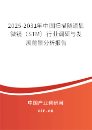 2025-2031年中國掃描隧道顯微鏡（STM）行業(yè)調(diào)研與發(fā)展前景分析報(bào)告