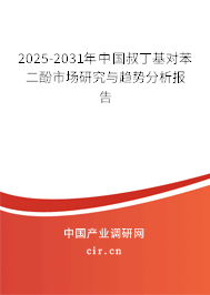 2025-2031年中國叔丁基對(duì)苯二酚市場研究與趨勢分析報(bào)告