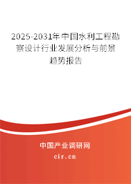 2025-2031年中國水利工程勘察設計行業(yè)發(fā)展分析與前景趨勢報告