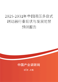2025-2031年中國(guó)液壓多盤式制動(dòng)器行業(yè)現(xiàn)狀與發(fā)展前景預(yù)測(cè)報(bào)告