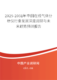 2025-2031年中國在線氣體分析儀行業(yè)發(fā)展深度調(diào)研與未來趨勢預(yù)測報告