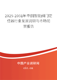 2025-2031年中國智能閥門定位器行業(yè)發(fā)展調(diào)研與市場前景報(bào)告