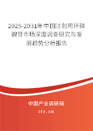 2025-2031年中國注射用環(huán)磷腺苷市場深度調(diào)查研究與發(fā)展趨勢分析報告