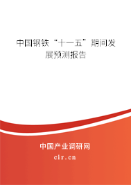 中國鋼鐵“十一五”期間發(fā)展預(yù)測報告