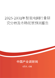 2025-2031年智能電網行業(yè)研究分析及市場前景預測報告