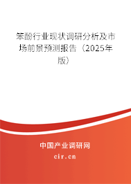 笨酚行業(yè)現(xiàn)狀調(diào)研分析及市場前景預測報告（2025年版）