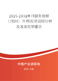 2025-2031年IT服務(wù)管理（ITSM）市場現(xiàn)狀調(diào)研分析及發(fā)展前景報告