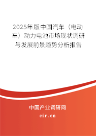 2025年版中國(guó)汽車（電動(dòng)車）動(dòng)力電池市場(chǎng)現(xiàn)狀調(diào)研與發(fā)展前景趨勢(shì)分析報(bào)告