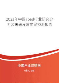 2023年中國ipad行業(yè)研究分析及未來發(fā)展前景預(yù)測報告