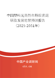 中國塑料光亮劑市場(chǎng)現(xiàn)狀調(diào)研及發(fā)展前景預(yù)測(cè)報(bào)告（2025-2031年）