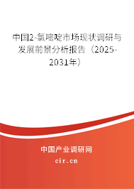 中國2-氯嘧啶市場現(xiàn)狀調(diào)研與發(fā)展前景分析報告（2025-2031年）