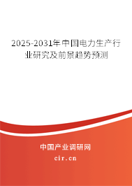 2025-2031年中國電力生產(chǎn)行業(yè)研究及前景趨勢預(yù)測