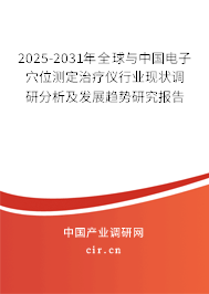 2025-2031年全球與中國電子穴位測定治療儀行業(yè)現(xiàn)狀調(diào)研分析及發(fā)展趨勢研究報(bào)告