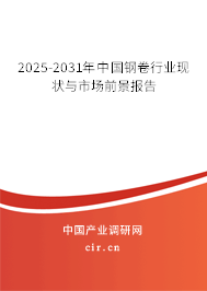 2024-2030年中國(guó)鋼卷行業(yè)現(xiàn)狀與市場(chǎng)前景報(bào)告