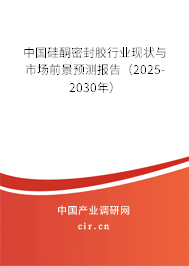 中國硅酮密封膠行業(yè)現(xiàn)狀與市場前景預(yù)測報(bào)告（2025-2030年）