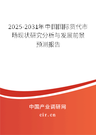 2025-2031年中國國際貨代市場現(xiàn)狀研究分析與發(fā)展前景預(yù)測報(bào)告