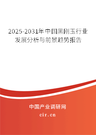 2025-2031年中國黑剛玉行業(yè)發(fā)展分析與前景趨勢報告 2025-2031年中國黑剛玉行業(yè)發(fā)展分析與前景趨勢報告