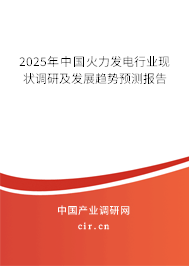 2025年中國火力發(fā)電行業(yè)現(xiàn)狀調(diào)研及發(fā)展趨勢預(yù)測報告 2025年中國火力發(fā)電行業(yè)現(xiàn)狀調(diào)研及發(fā)展趨勢預(yù)測報告