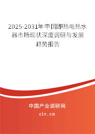 2025-2031年中國(guó)即熱電熱水器市場(chǎng)現(xiàn)狀深度調(diào)研與發(fā)展趨勢(shì)報(bào)告