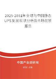 2025-2031年全球與中國靜態(tài)UPS發(fā)展現(xiàn)狀分析及市場前景報告