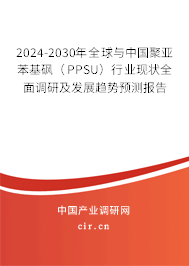 2024-2030年全球與中國聚亞苯基砜（PPSU）行業(yè)現(xiàn)狀全面調(diào)研及發(fā)展趨勢(shì)預(yù)測(cè)報(bào)告