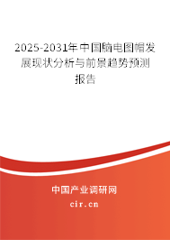 2025-2031年中國(guó)腦電圖帽發(fā)展現(xiàn)狀分析與前景趨勢(shì)預(yù)測(cè)報(bào)告