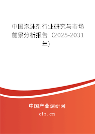 中國泡沫劑行業(yè)研究與市場前景分析報告(2025-2031年) 中國泡沫劑行業(yè)研究與市場前景分析報告(2025-2031年)